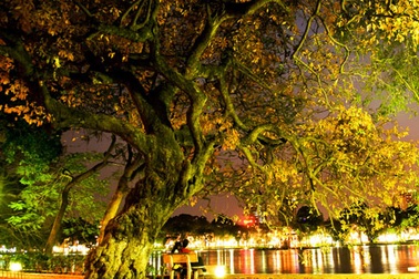 Bóng dáng mùa Thu …