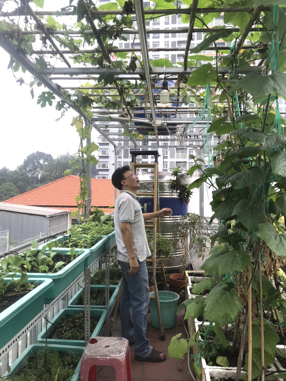 Chi 30 triệu đồng làm vườn sân thượng, gia chủ Sài Gòn thu hoạch mỏi tay - 4 Chi 30 triệu đồng làm vườn sân thượng, gia chủ Sài Gòn thu hoạch mỏi tay - 4