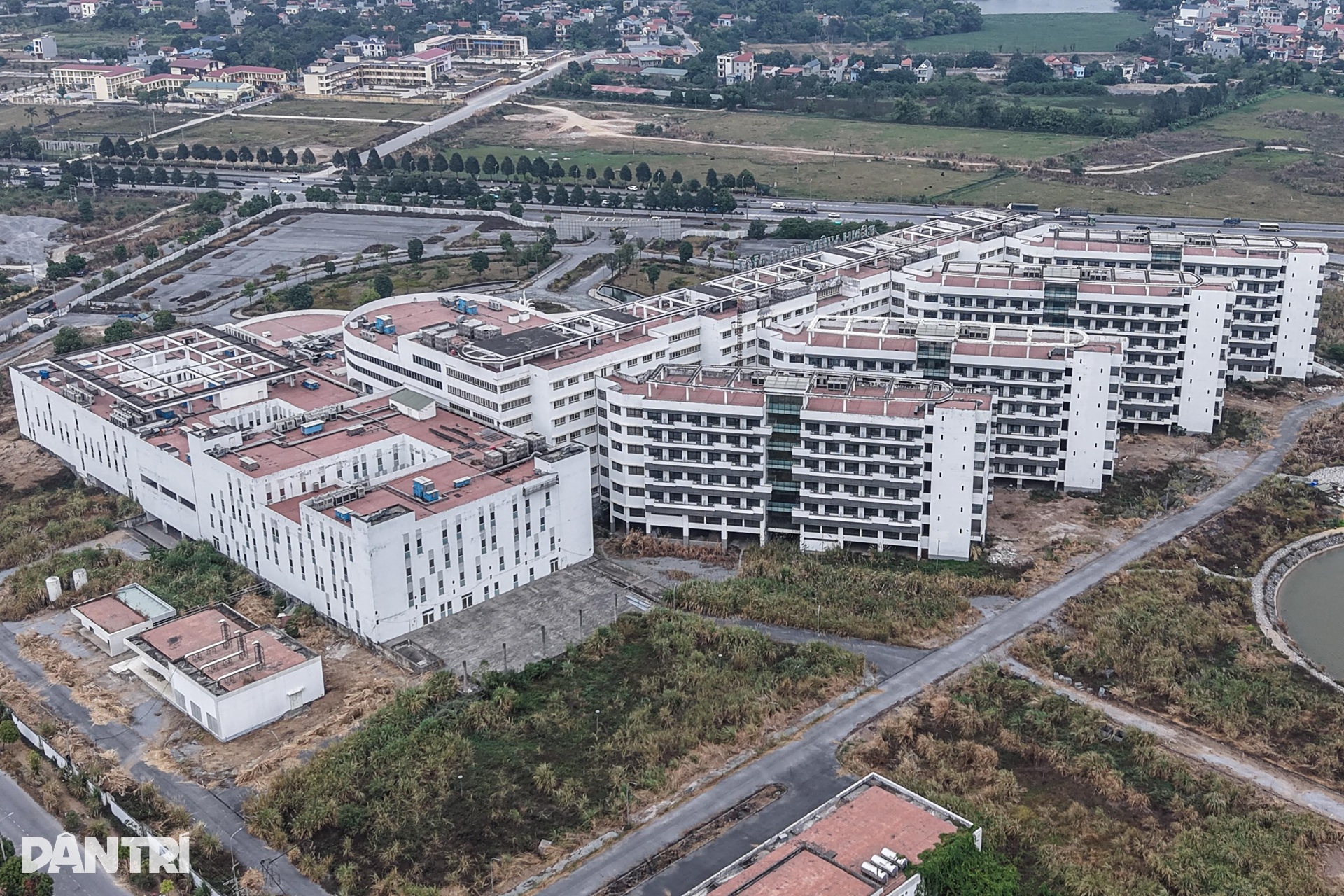 Bệnh viện Việt Đức, Bạch Mai cơ sở 2 cỏ mọc um tùm, cao quá đầu người - 2 Bệnh viện Việt Đức, Bạch Mai cơ sở 2 cỏ mọc um tùm, cao quá đầu người - 2