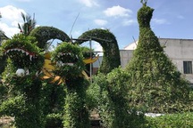 Hơn 100 triệu đồng/cặp kiểng hình gà chưng Tết Đinh Dậu