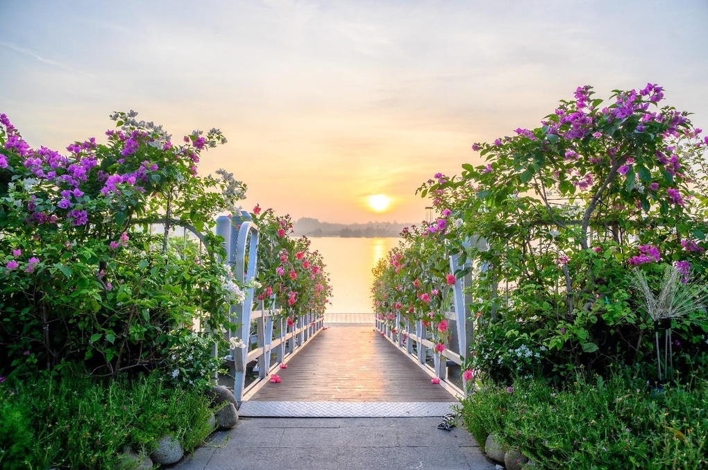 Trải nghiệm trị liệu tắm âm thanh - thiết kế độc quyền dành cho cư dân Blue Zones - 8 Trải nghiệm trị liệu tắm âm thanh - thiết kế độc quyền dành cho cư dân Blue Zones - 8