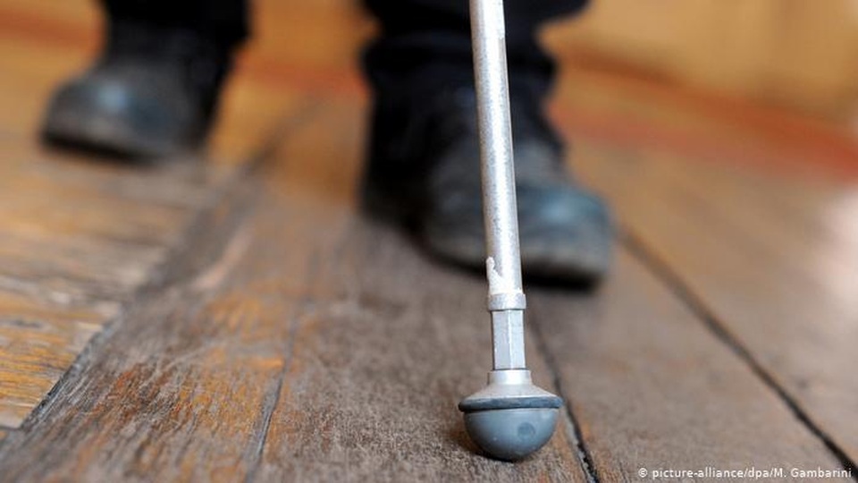 Nghe không chỉ bằng tai: Những loài vật có thính giác siêu việt - 10