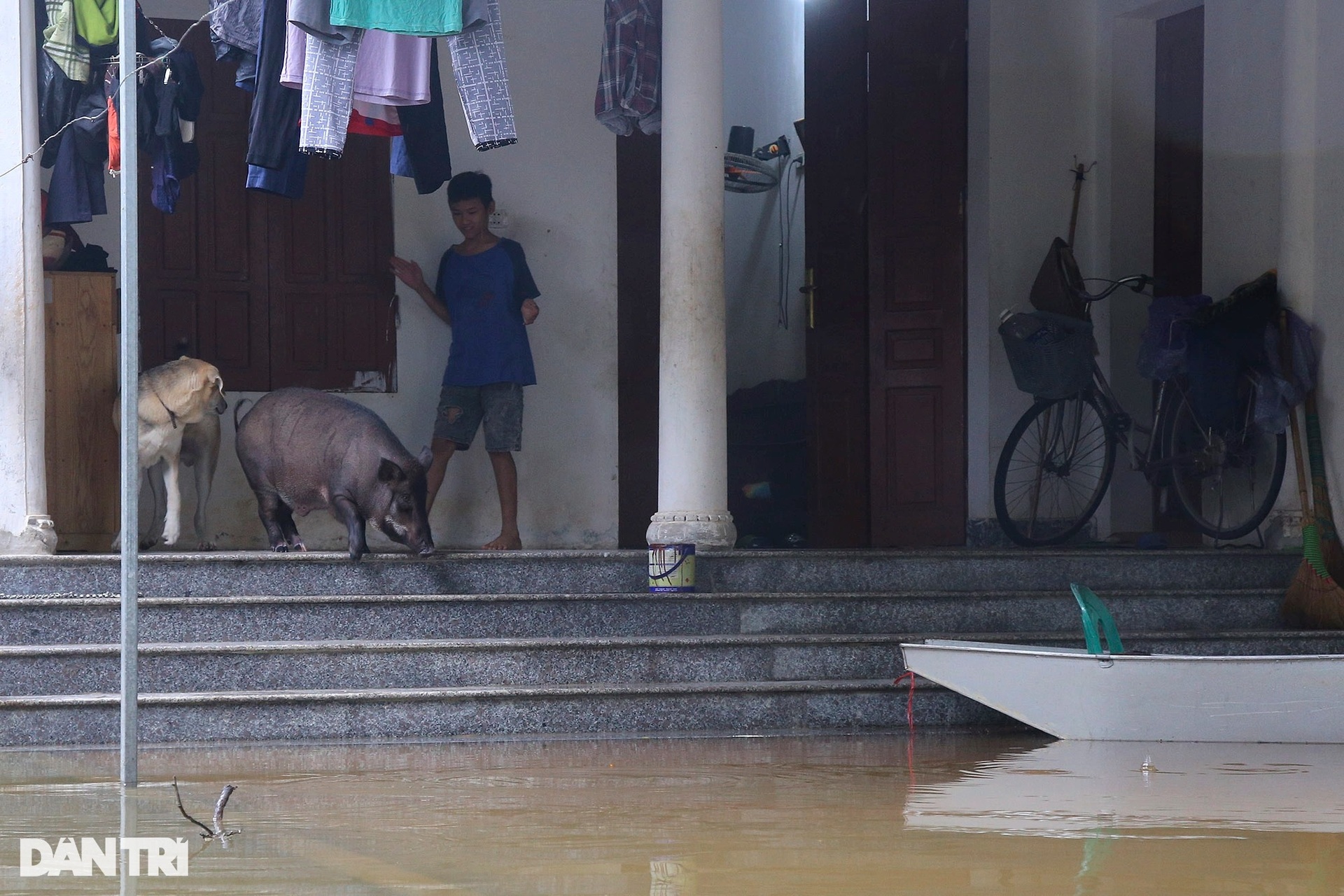 Nhiều thôn xóm ngoại thành Hà Nội ngập sâu trong nước - 4