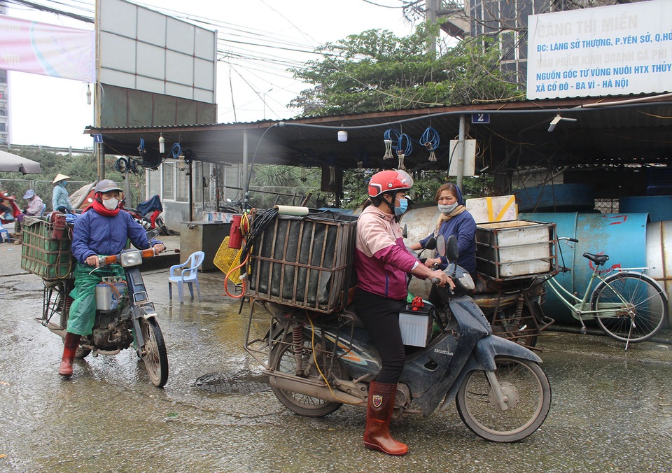 Hà Nội: Cá chép tiễn ông Công ông Táo cháy hàng, giá tăng phi mã - 5 Hà Nội: Cá chép tiễn ông Công ông Táo cháy hàng, giá tăng phi mã - 5