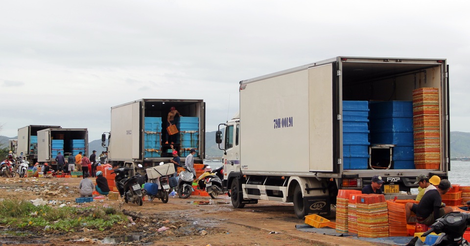 Tôm hùm khan hiếm, giá tăng đạt đỉnh - 1 Tôm hùm khan hiếm, giá tăng đạt đỉnh - 1