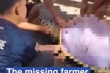 Khoảnh khắc rạch bụng trăn khổng lồ dài gần 9m đưa nạn nhân ra ngoài