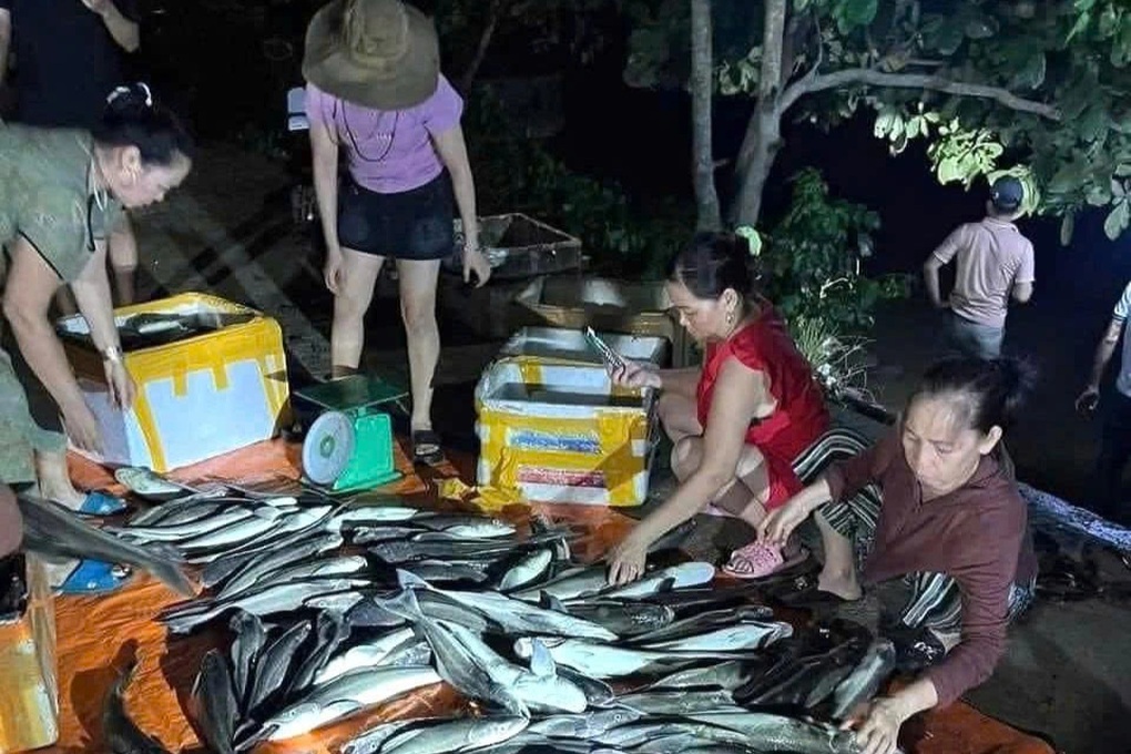 Mưa lũ dị thường nhấn chìm cơ ngơi tiền tỷ trên sông - 3 Mưa lũ dị thường nhấn chìm cơ ngơi tiền tỷ trên sông - 3