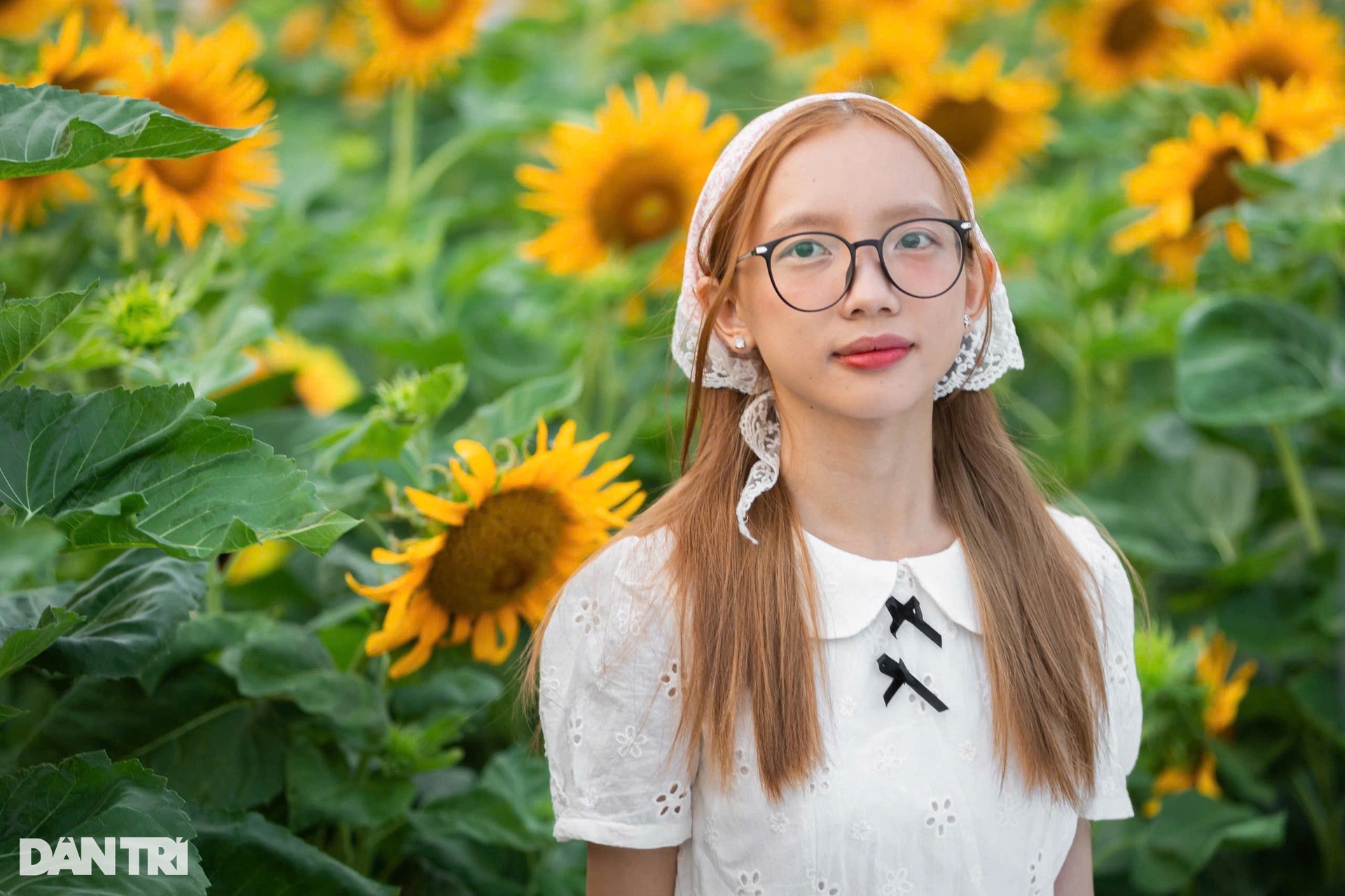 View - Giới trẻ thích thú với cánh đồng hoa hướng dương ven sông Sài Gòn | Báo Dân trí