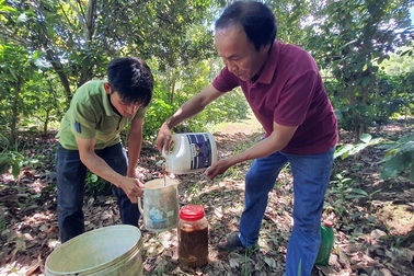 Phú Yên: Thu gần 200 triệu đồng/năm từ bí quyết ...ủ phân cá gốc cây