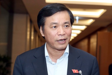 Chưa có tiền lệ phải "cách chức" người không còn chức vụ như ông Vũ Huy Hoàng