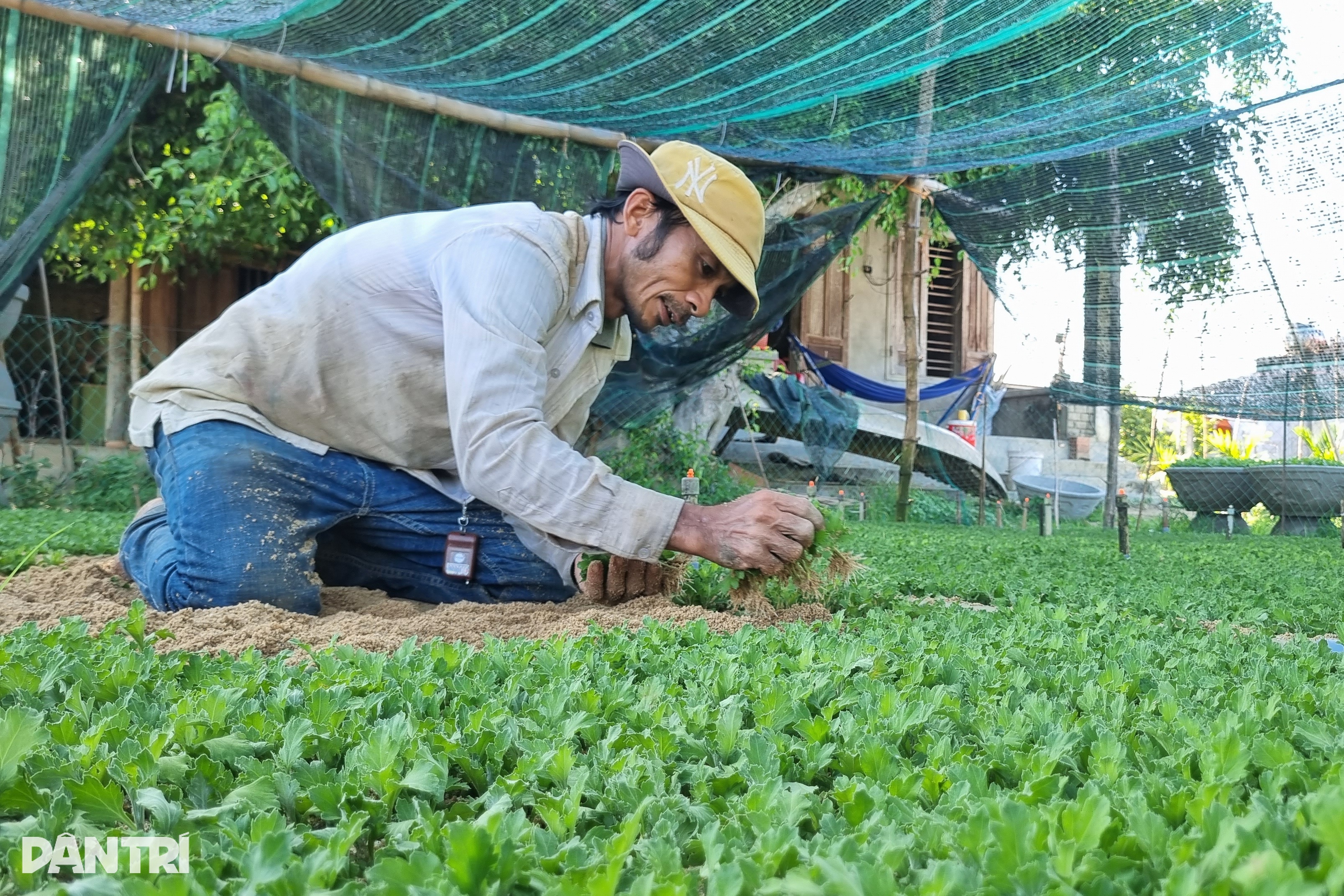 Những người gom nắng khơi màu, gọi Tết - 2 Những người gom nắng khơi màu, gọi Tết - 2
