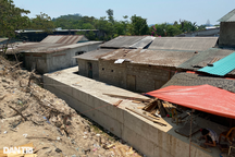 Xây cống cao bằng nửa nhà dân, "cứu" xóm lụt giữa thành phố Huế