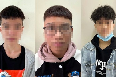 Những kẻ sàm sỡ phụ nữ ngoại quốc tại Hồ Tây lãnh hậu quả gì trong lý lịch?