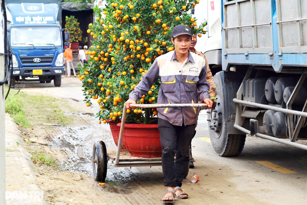 Bốc vác quất thuê, kiếm tiền triệu mỗi ngày - 2 Bốc vác quất thuê, kiếm tiền triệu mỗi ngày - 2