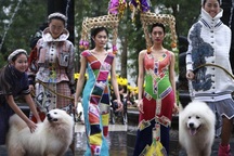 Người mẫu đội ngựa vàng mã, dắt cún cưng sang chảnh lên sàn diễn thời trang