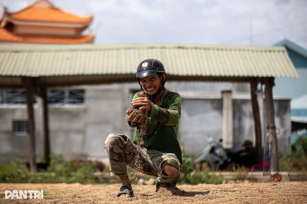 Nước mắt vịnh tôm hùm và những vụ mùa tiền tỷ đặt cược vào ông trời - 12 Nước mắt vịnh tôm hùm và những vụ mùa tiền tỷ đặt cược vào ông trời - 12