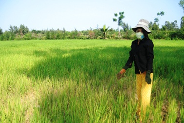 Dân mỏi mòn vì bị dự án khu du lịch “ngâm” đất