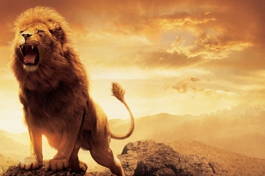 Những sự thật thú vị có thể bạn chưa biết về “chúa tể thảo nguyên”