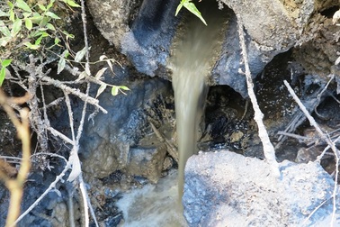 Tỉnh Nghệ An yêu cầu kiểm tra, xử lý xưởng chế biến bột sắn ngang nhiên xả thải ra môi trường