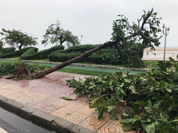 TP.Nha Trang-Khánh Hòa: Ra quân khắc phục hậu quả bão số 12  - Ảnh 5.