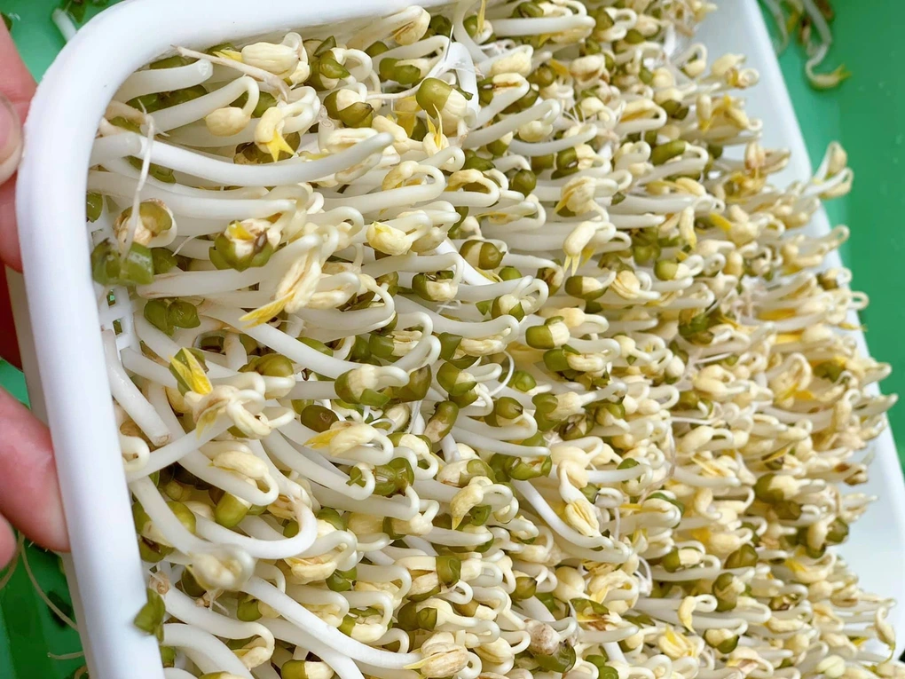 Một tuần hết nửa triệu mua rau, bà nội trợ ở Hà Nội nhờ tiếp tế gấp từ quê - 2