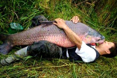 Công nghệ săn “khủng long” Hồ Tây