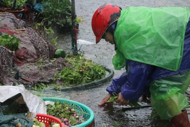 Tiểu thương chợ lớn nhất Nghệ An dầm mình trong nước nhặt từng cọng rau