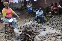 Thịt thú rừng – khởi nguồn đại dịch Ebola