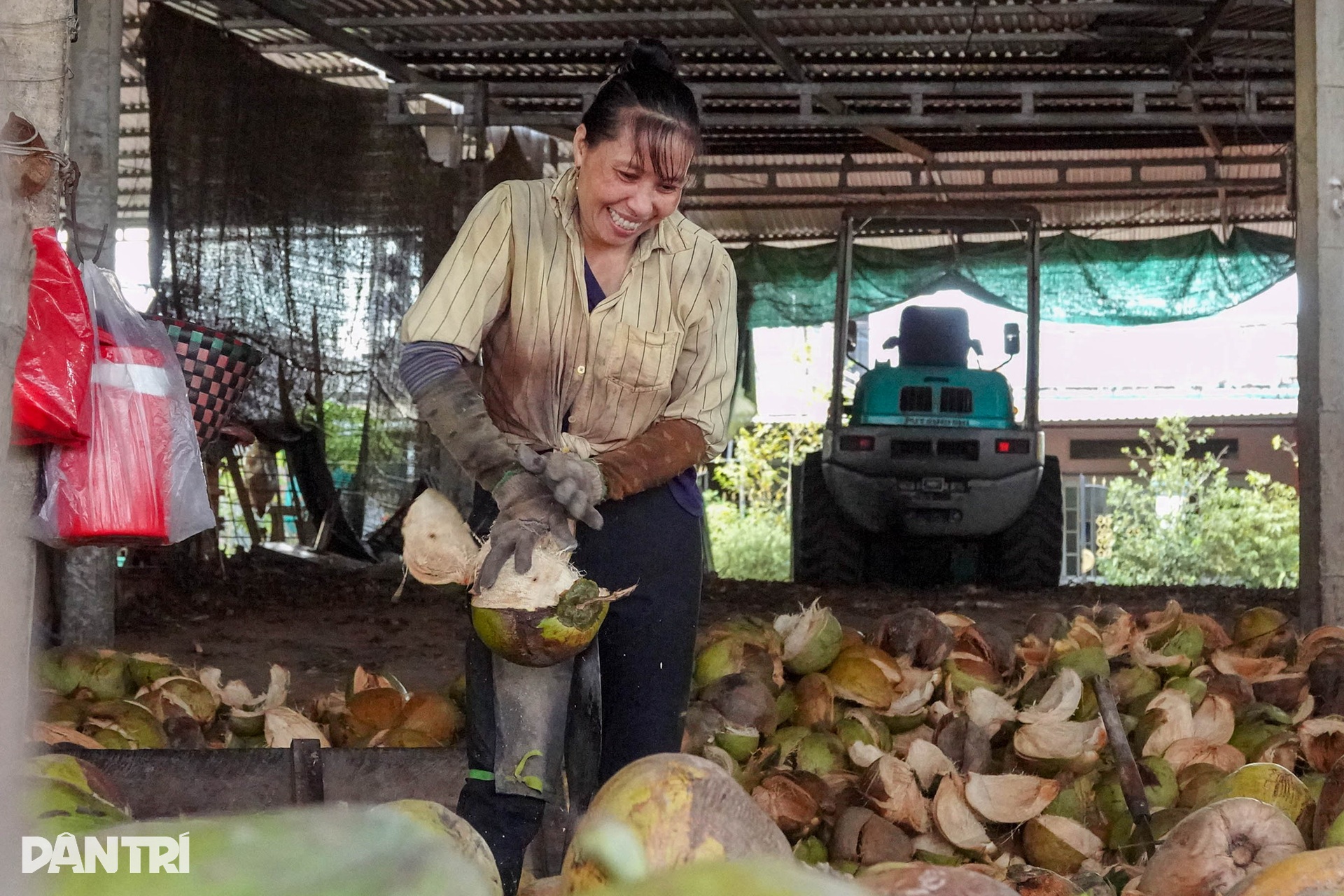 Người phụ nữ lột dừa tươi nhanh như máy, kiếm nửa triệu đồng mỗi ngày - 4