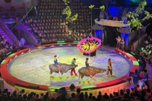 Công an vào cuộc vụ "Liên đoàn Xiếc gửi 10.000 đồng ủng hộ bão lũ"