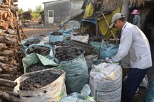 Sóc Trăng: Nghề hầm than thu nhập cao nhưng ...nguy cơ ô nhiễm lớn