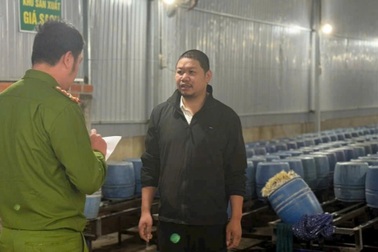 Truy trách nhiệm các sở, ngành về vụ gần 3.000 tấn giá đỗ ủ chất cấm