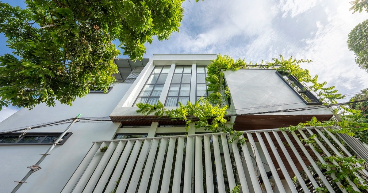 Nhờ tận dụng cây xanh có sẵn xung quanh kết hợp với cửa kính, ngôi nhà có được những mảng xanh thanh bình.