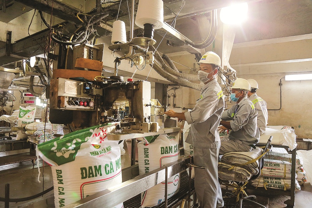 Petrovietnam: Sẵn sàng cho chặng đường phát triển mới - 3 Petrovietnam: Sẵn sàng cho chặng đường phát triển mới - 3