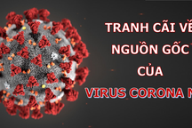 Phát hiện đầy bất ngờ về nguồn gốc của virus corona mới