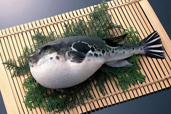 Hai sinh vật biển cực độc nhiều người vẫn ăn, có thể mất mạng - 1