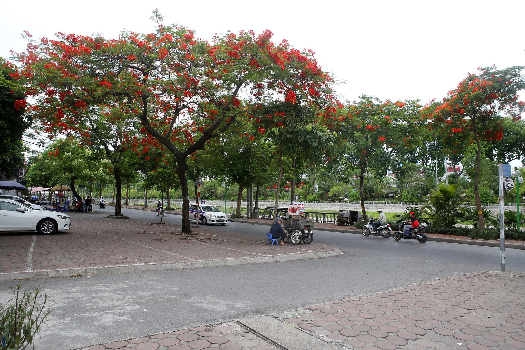 Hà Nội đẹp rực rỡ với dải phượng vĩ dài 8km - 9 Hà Nội đẹp rực rỡ với dải phượng vĩ dài 8km - 9