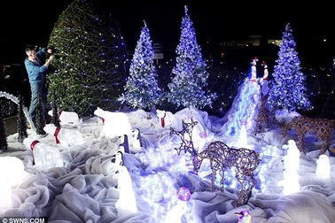 Giới nhà giàu “vung tiền” thuê trang trí cây thông Noel