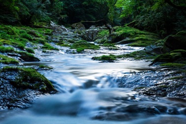 Hé lộ bí ẩn về dòng suối bốc mùi bia nồng nặc