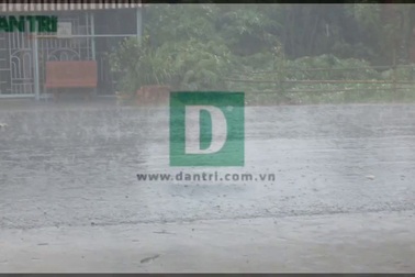 Mưa "vàng" xuất hiện tại Đồng bằng sông Cửu Long