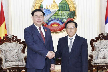 Nâng tầm hợp tác kinh tế tương xứng với quan hệ đặc biệt Việt - Lào