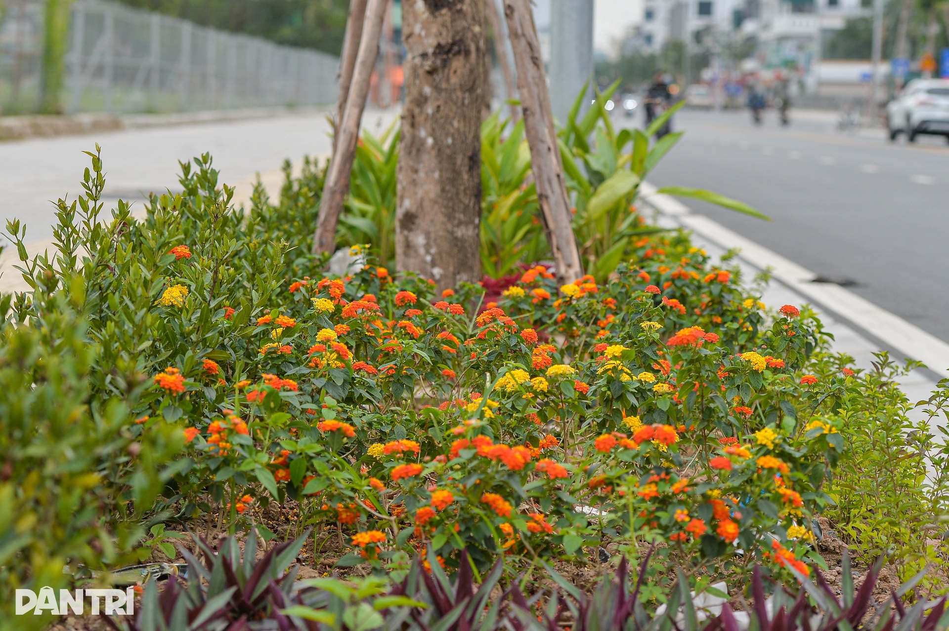 Con đường 500 tỷ đồng nối Hà Nội với cao tốc Pháp Vân - Cầu Giẽ - 9 Con đường 500 tỷ đồng nối Hà Nội với cao tốc Pháp Vân - Cầu Giẽ - 9