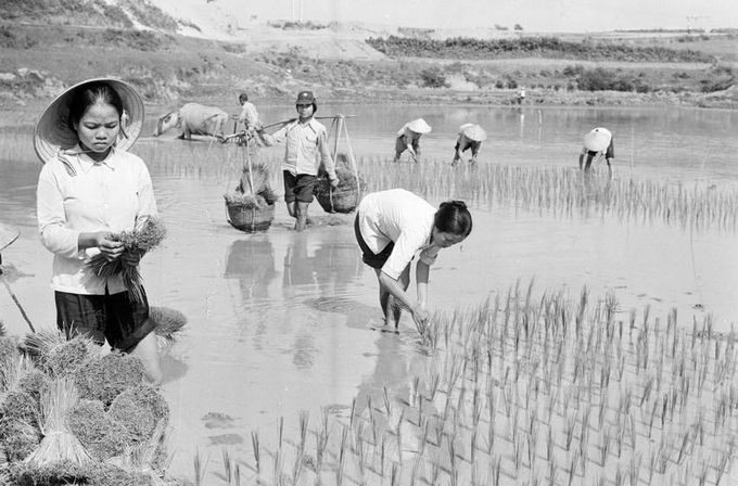 Đồng chí Vũ Oanh nói về vai trò, đóng góp của Ban Kinh tế Trung ương - Ảnh 2. Đồng chí Vũ Oanh nói về vai trò, đóng góp của Ban Kinh tế Trung ương - Ảnh 2.