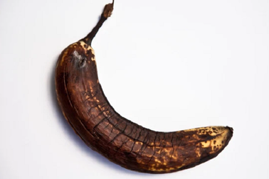 "Yêu" quá đà, người đàn ông rơi vào hiểm cảnh