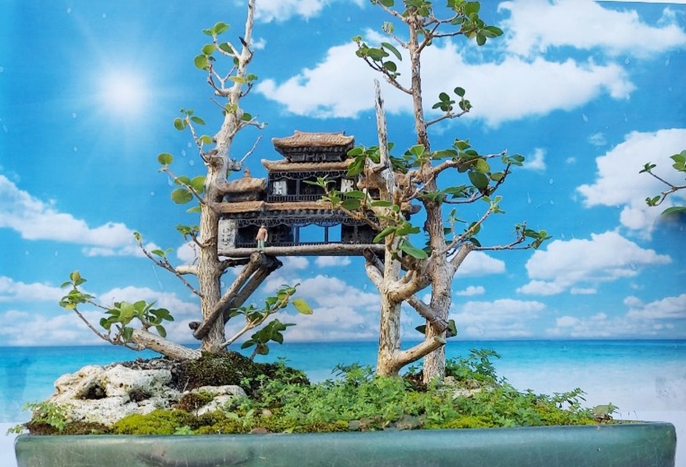 Người đàn ông Nha Trang sở hữu hàng nghìn bonsai, tiểu cảnh mini - 5 Người đàn ông Nha Trang sở hữu hàng nghìn bonsai, tiểu cảnh mini - 5