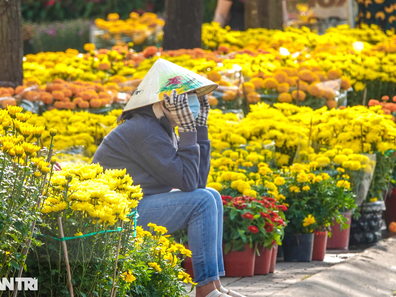 Tiểu thương chợ hoa chiều 30 Tết: "Bán xả, bán lỗ, giá nào cũng bán"