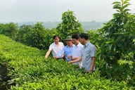 Lai Châu: Thu hút đầu tư để hiện thực hóa mục tiêu tăng trưởng