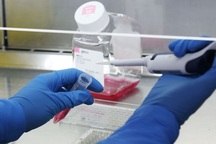 Các nhà khoa học tạo ra bước đột phá trong cuộc đua tìm vắc-xin coronavirus