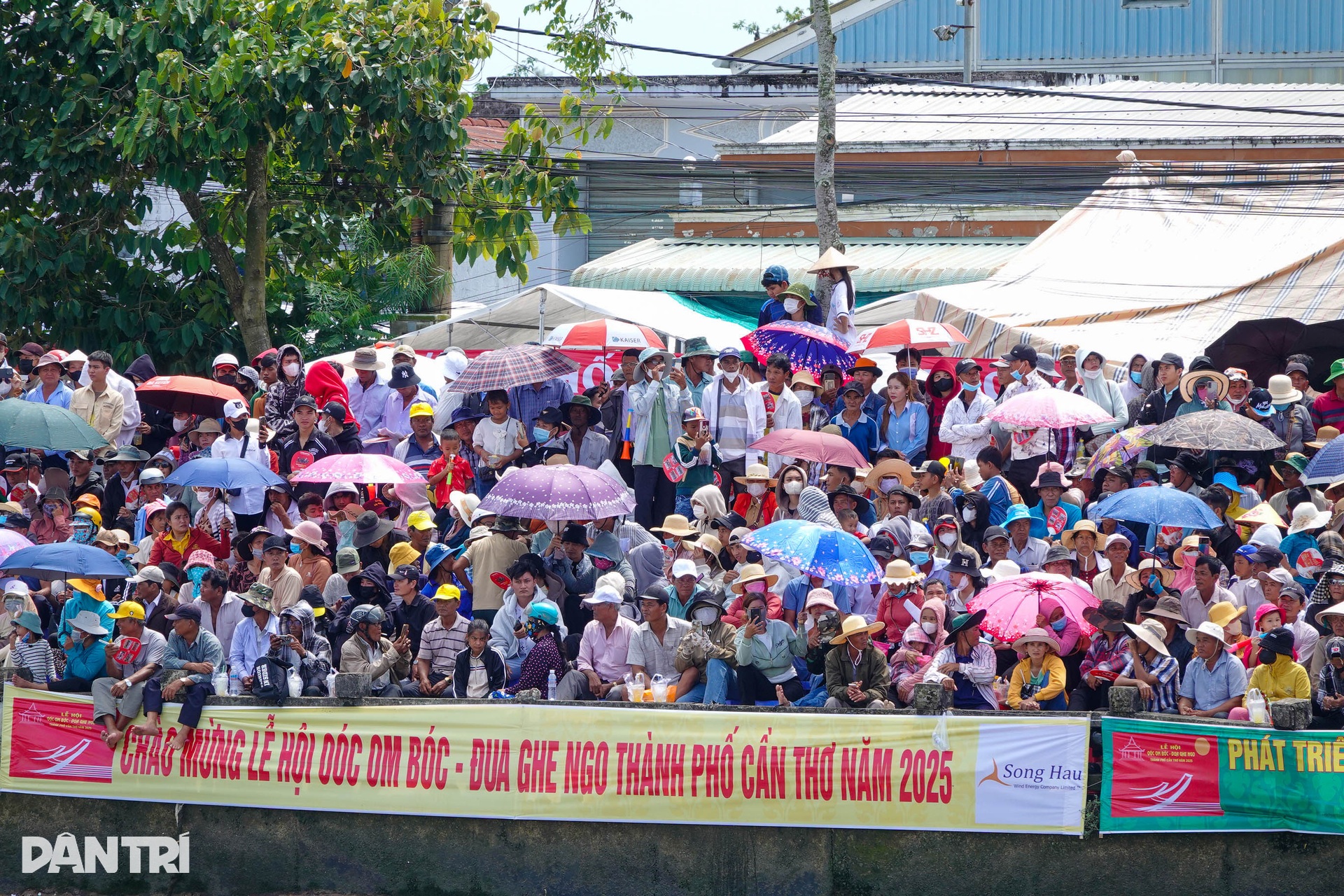 61 đội tranh tài giải Đua ghe Ngo trên sông Cần Thơ - 6