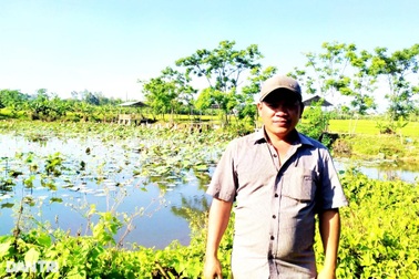 Vượt qua lầm lỡ, anh nông dân làm lại cuộc đời từ sen